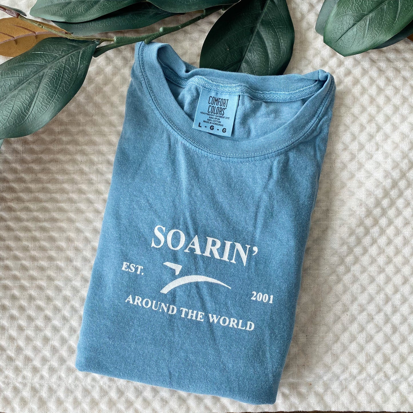 Soarin' Around the World Shirt